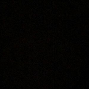 Meet your Posher, Dina